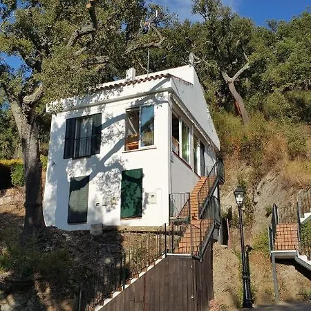 Casa Mandarina